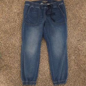 Torrid Dark Blue Ankle Jeans